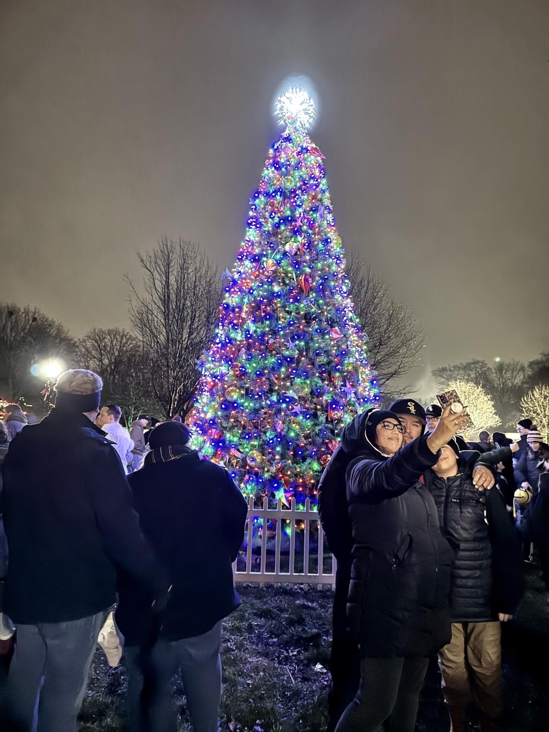 holiday tree lighting