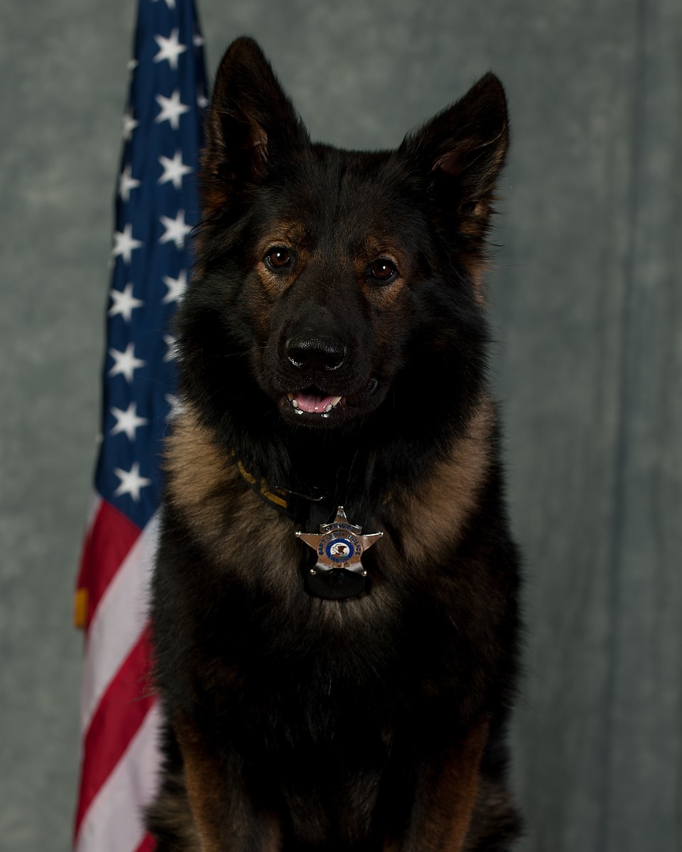 Canine Luther Jan2026