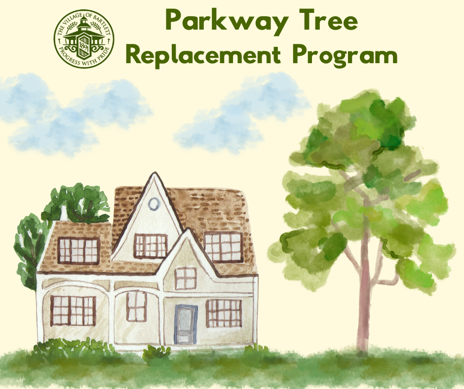 Parkway Tree Program